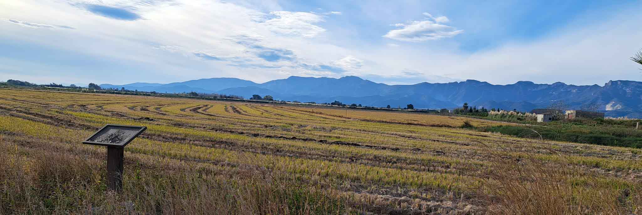 Fortaleny. Assut de Cullera