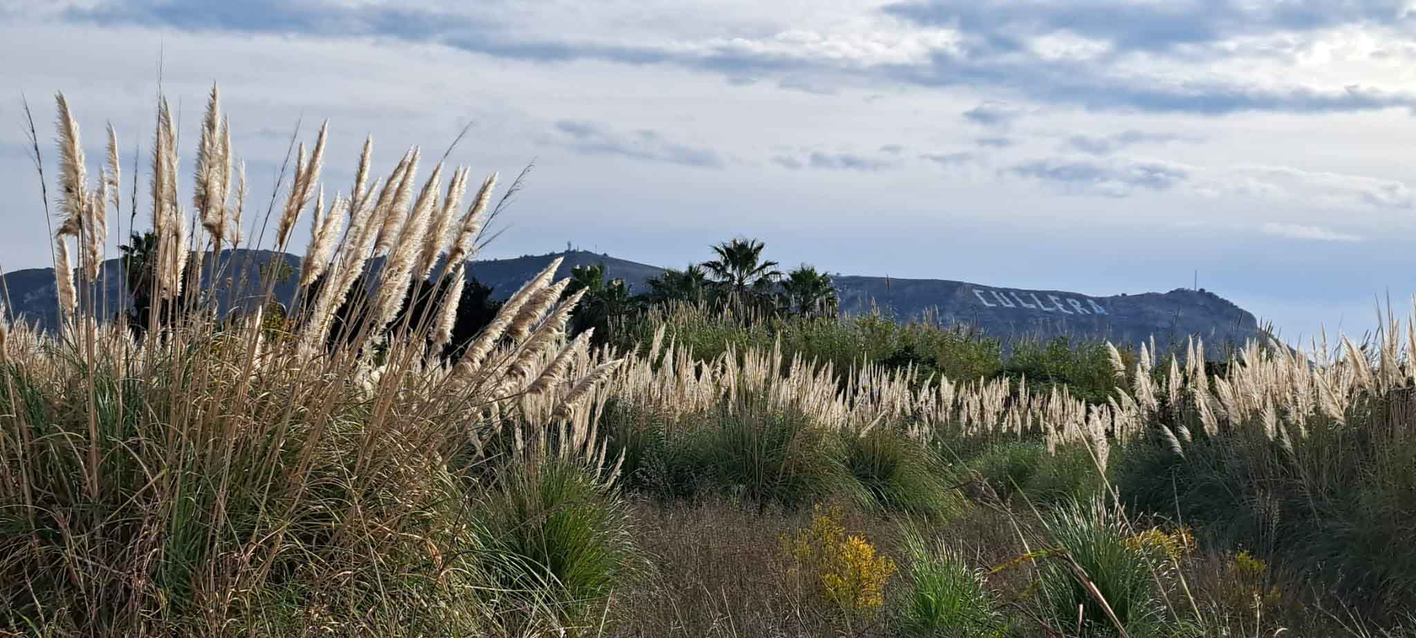 Fortaleny. Assut de Cullera