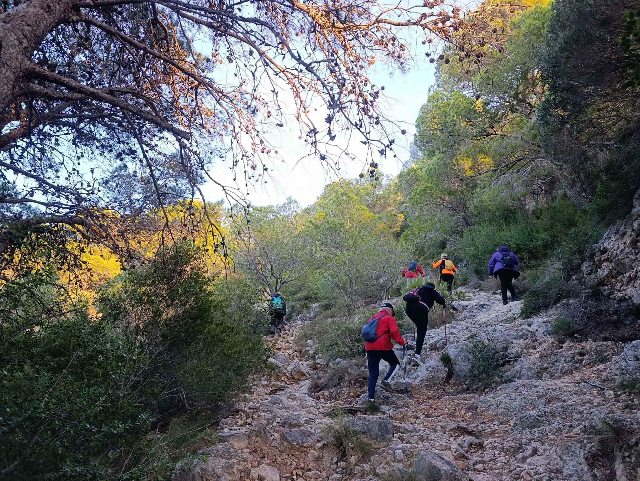 Senda de la lloma. Cullera