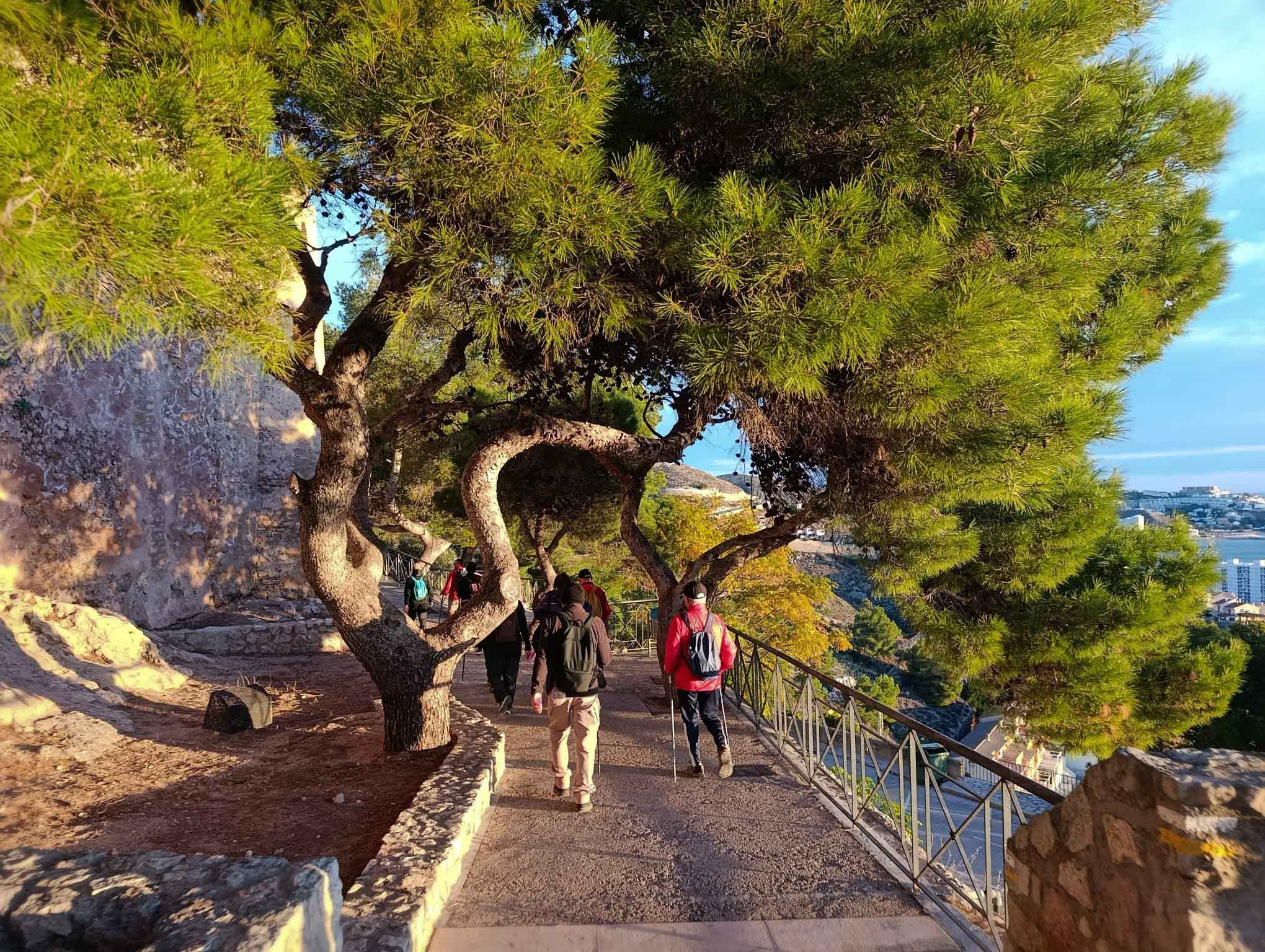 Senda de la lloma. Cullera