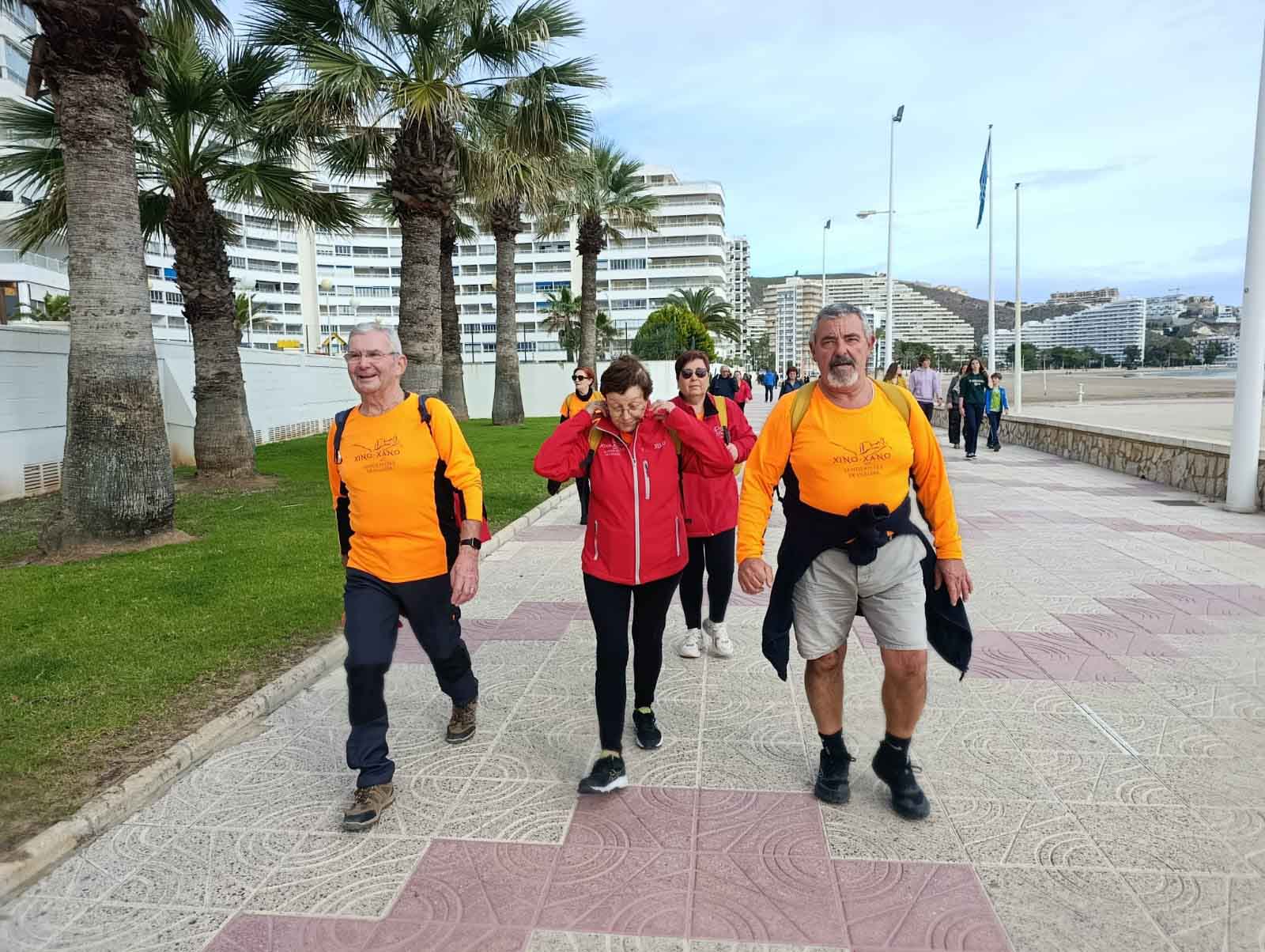 Collao. Decoración del árbol de Navidad