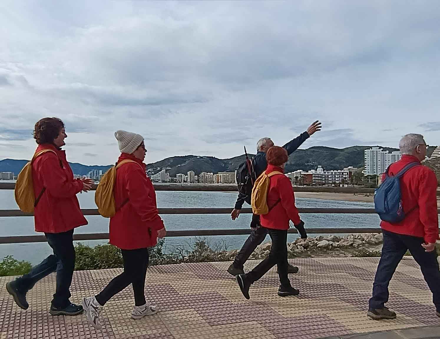 Collao. Decoración del árbol de Navidad