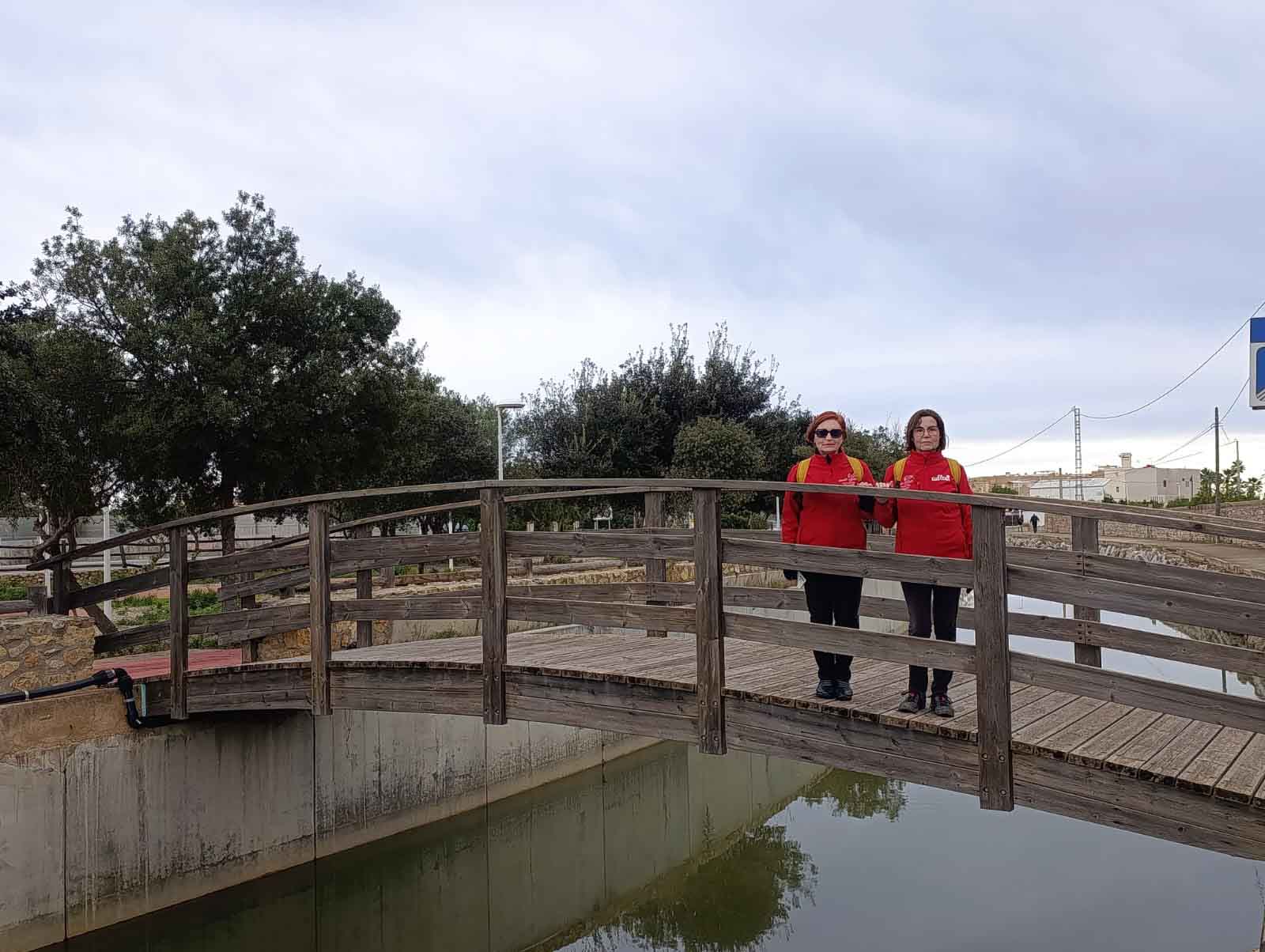 Collao. Decoración del árbol de Navidad