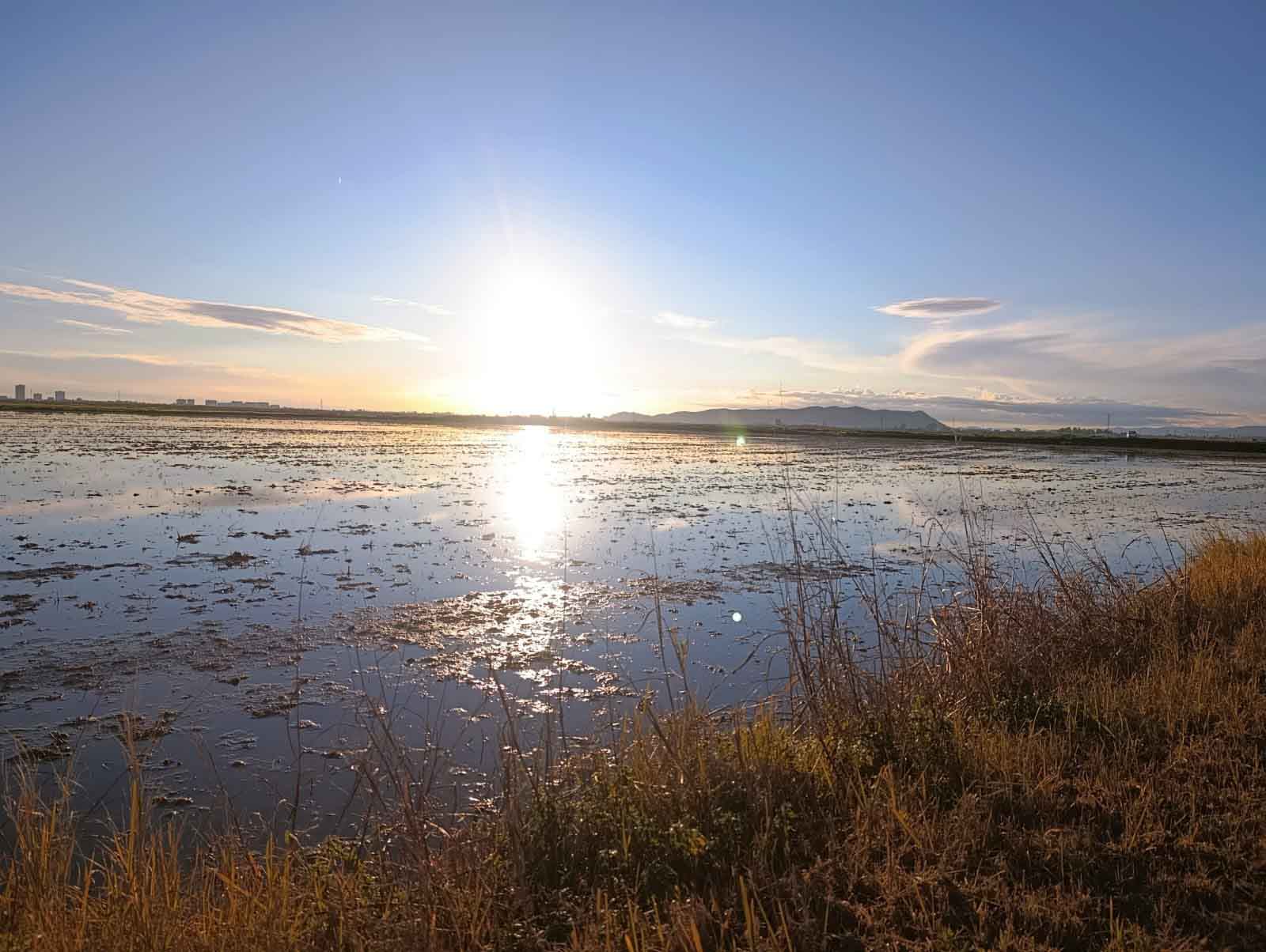 Ruta al Ullal de Baldoví