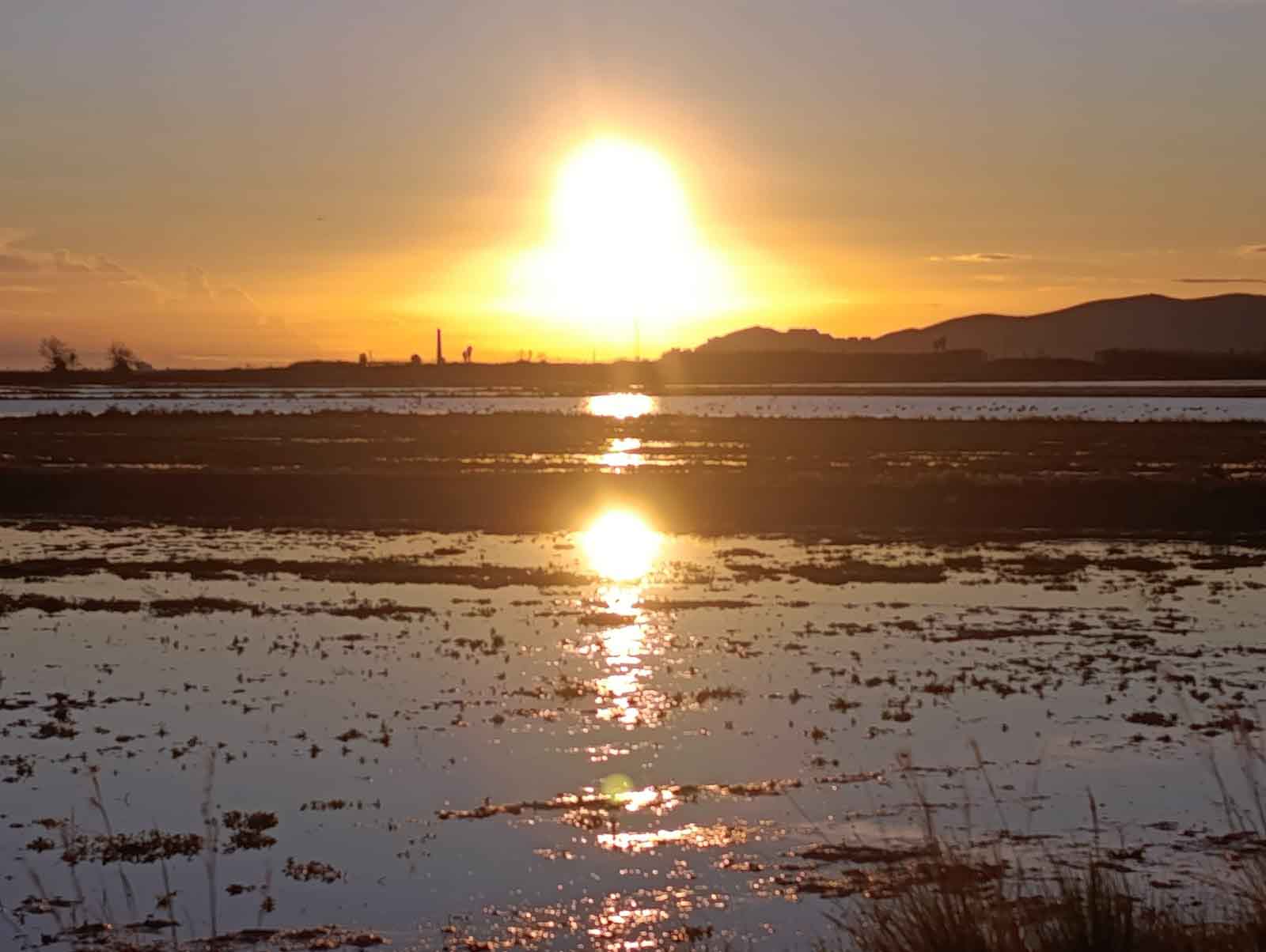 Ruta al Ullal de Baldoví