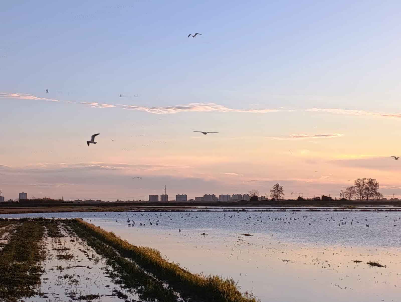 Ruta al Ullal de Baldoví