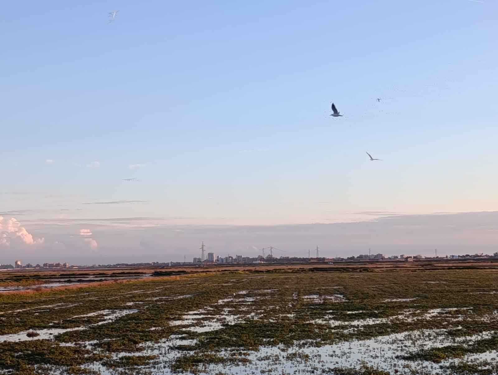 Ruta al Ullal de Baldoví