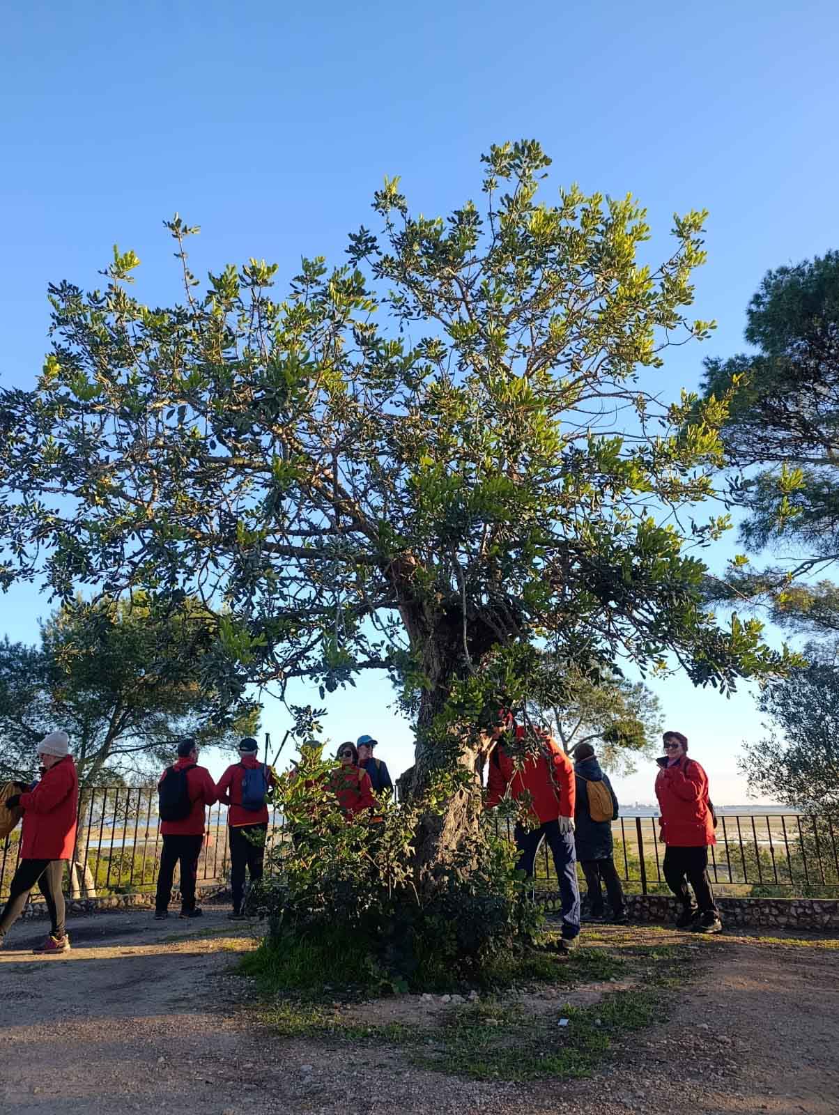 Ruta al Ullal de Baldoví