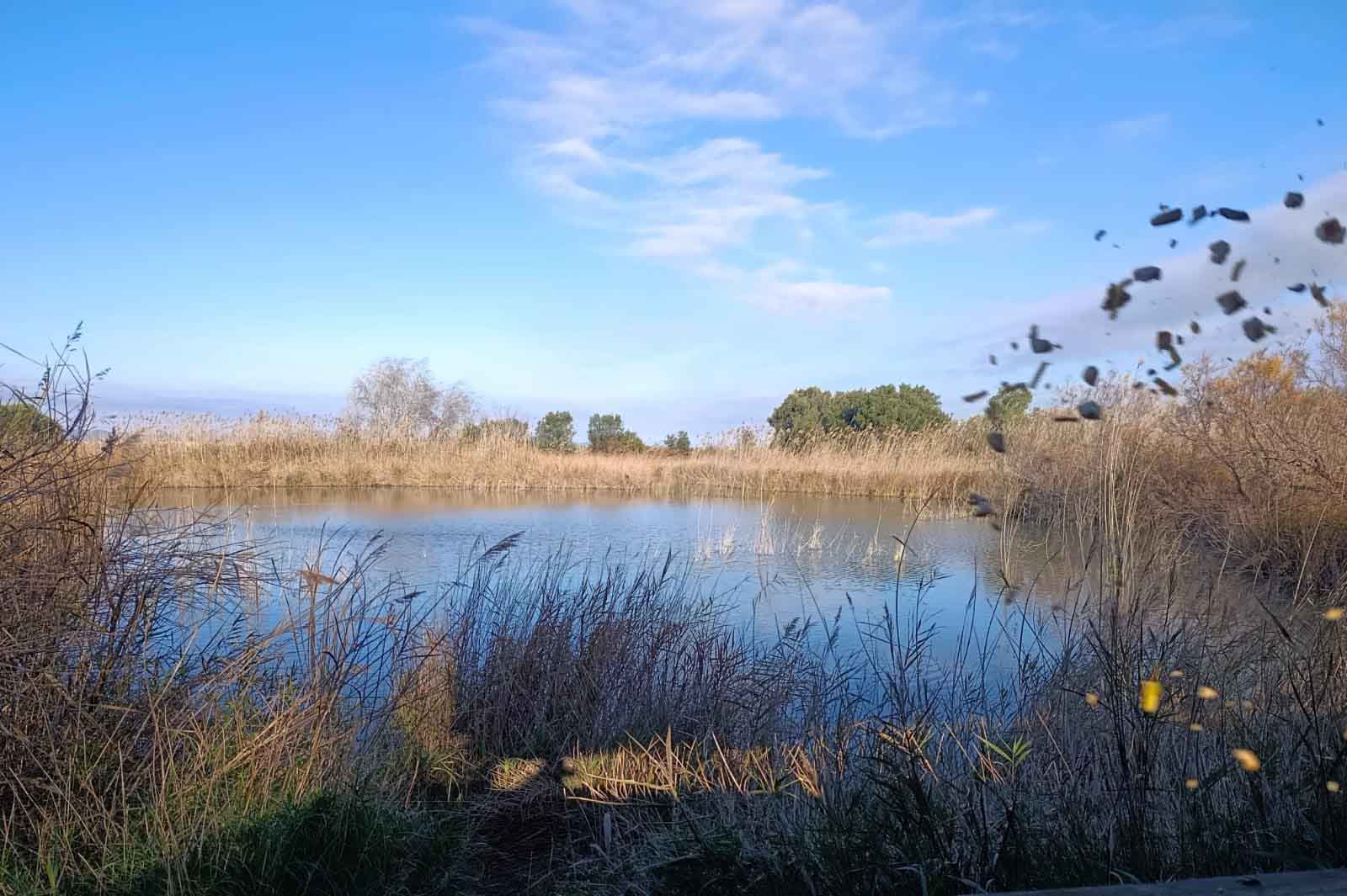 Ruta al Ullal de Baldoví