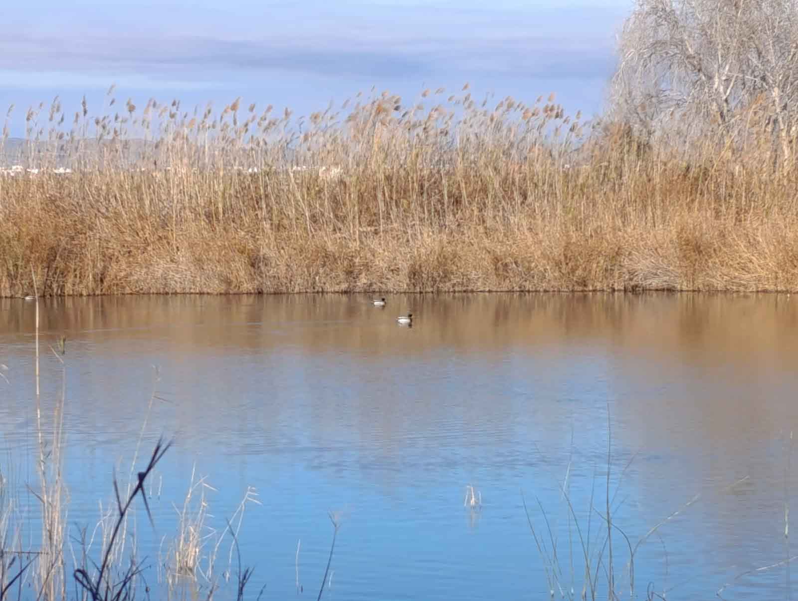 Ruta al Ullal de Baldoví