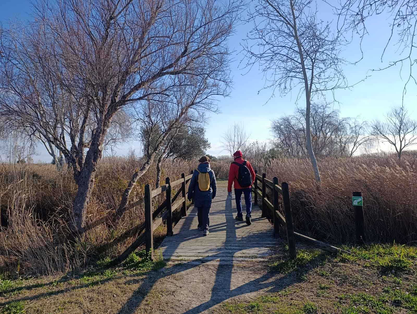 Ruta al Ullal de Baldoví