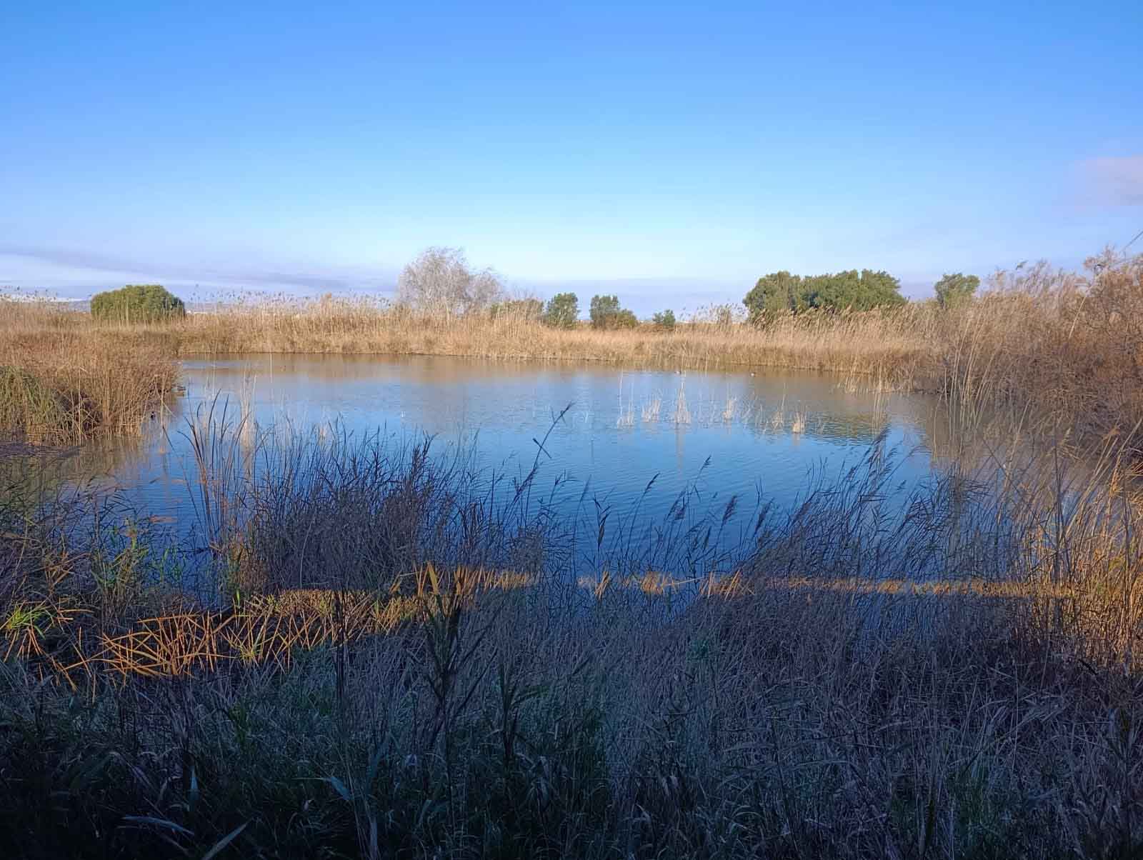 Ruta al Ullal de Baldoví