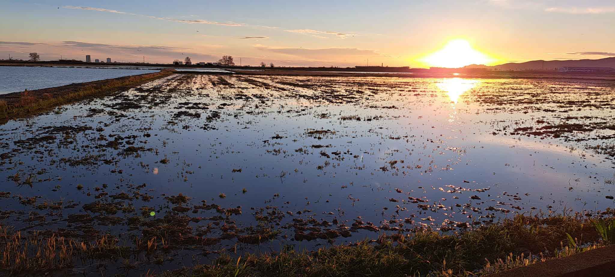 Ruta al Ullal de Baldoví