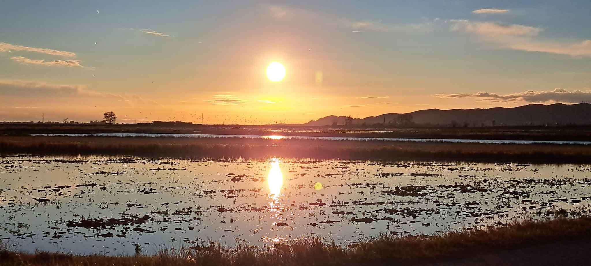 Ruta al Ullal de Baldoví