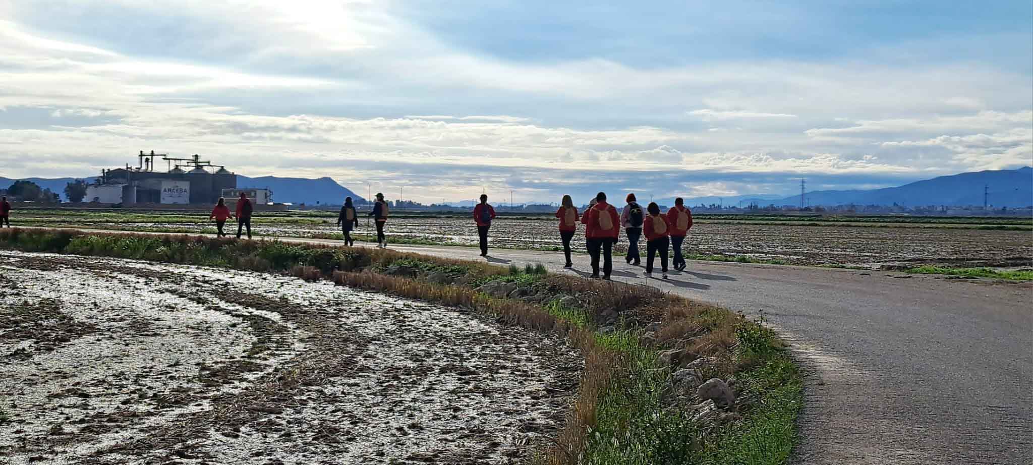 Ruta al Ullal de Baldoví