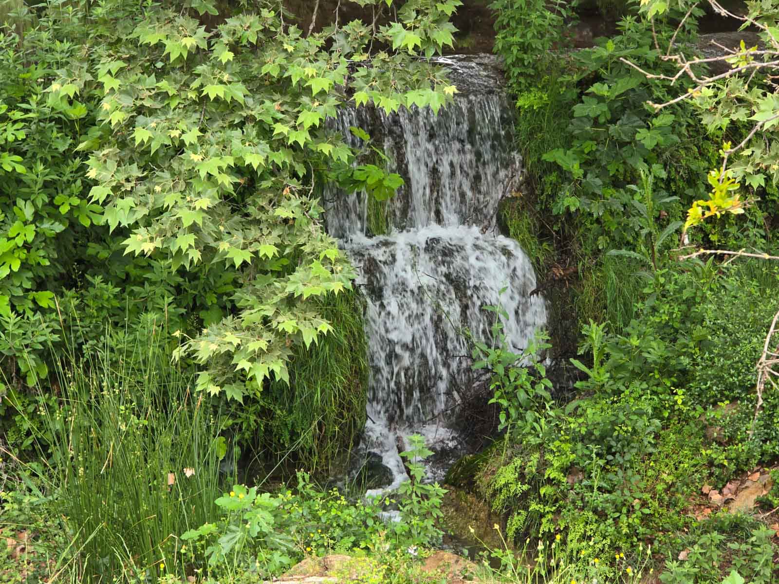 =