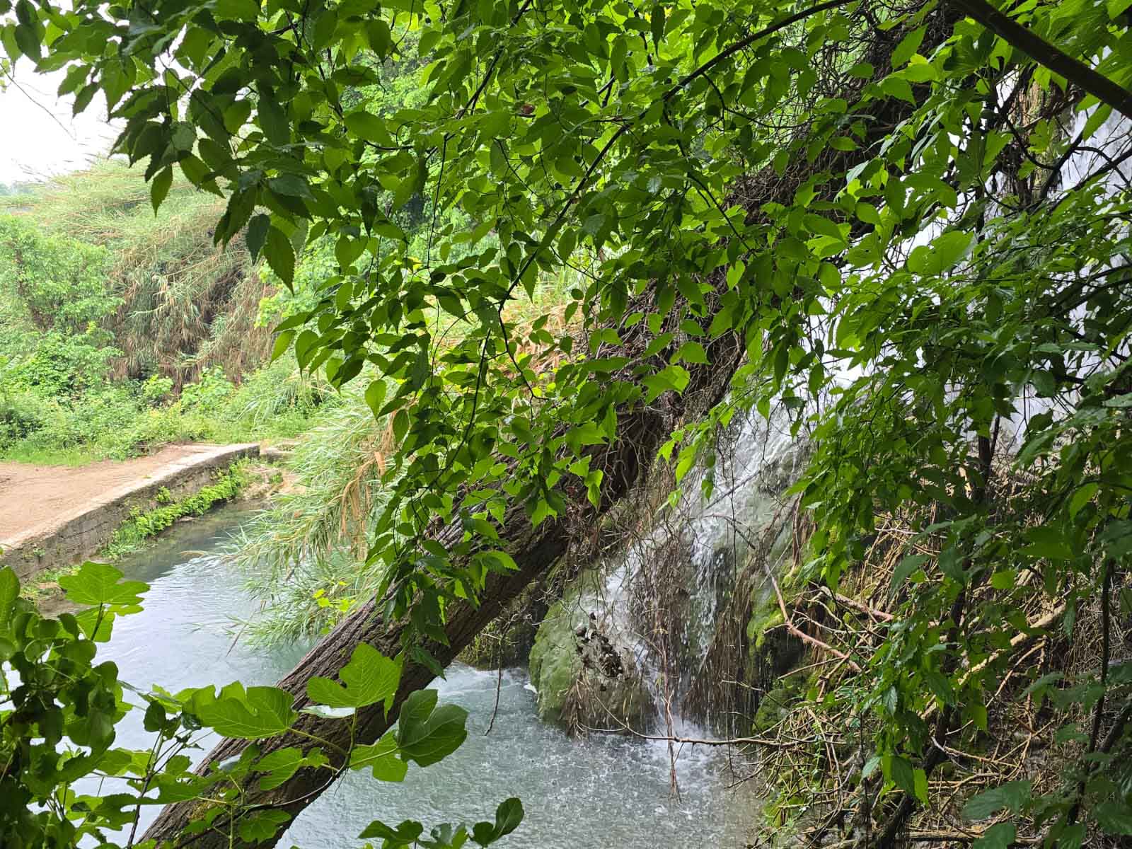 =