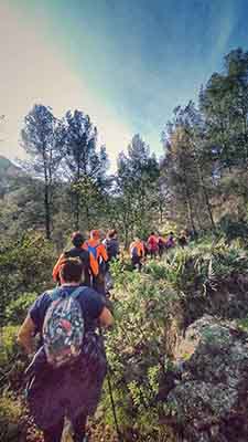 Gandía. Font de Lloret