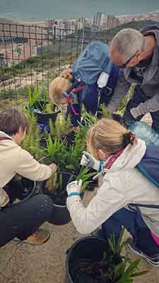 Reforestación montaña de Cullera