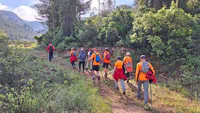 Les fonts de Pla de Corrals