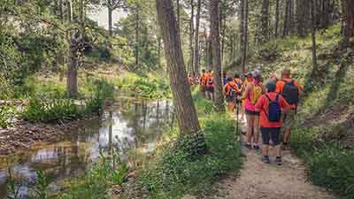 Las fuentes de Manzanera