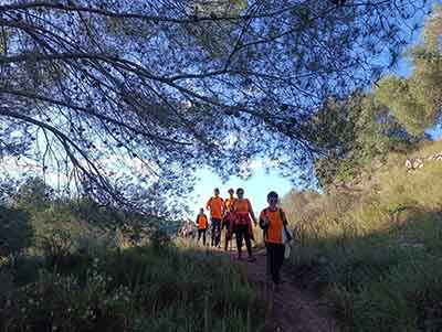 Sellent. Font del Pinar i Font de Ivars