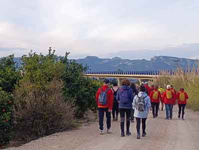 Fortaleny. Assut de Cullera