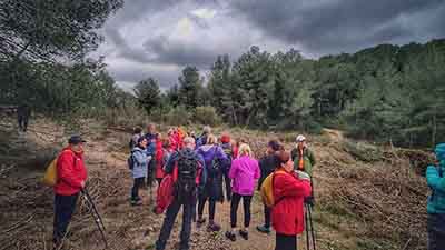 Valletes de Bru i Pas del Llop