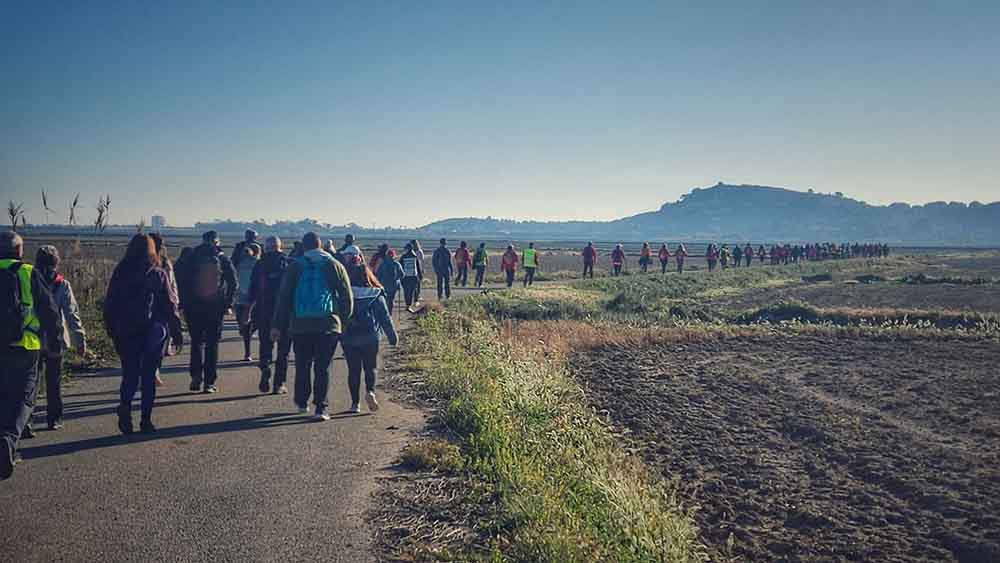 Éxito rotundo en la ruta senderista al Museo del Arroz